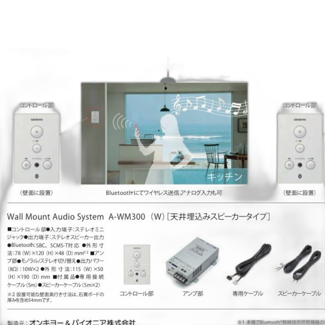 Onkyo Others A-Wm300