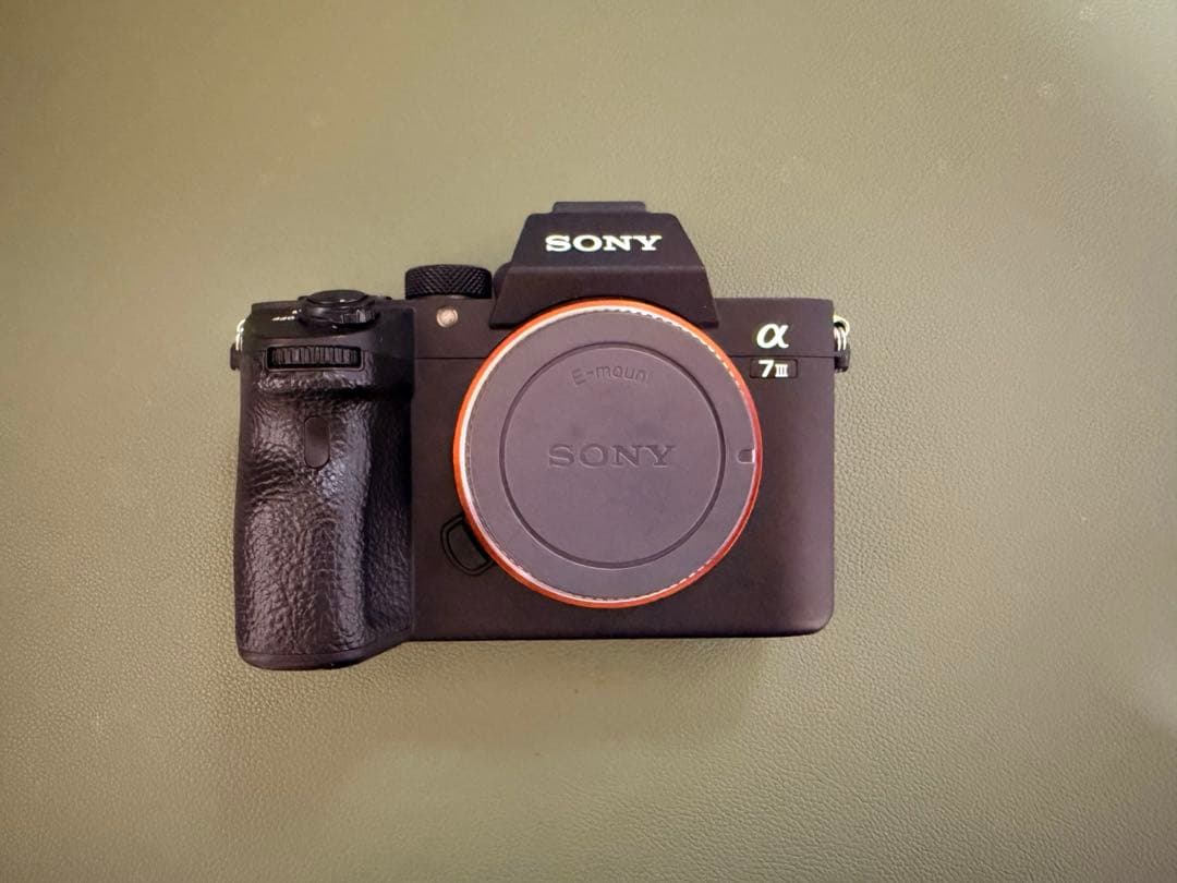 Sony Mirrorless Interchangeable Lens Cameras 7Iii