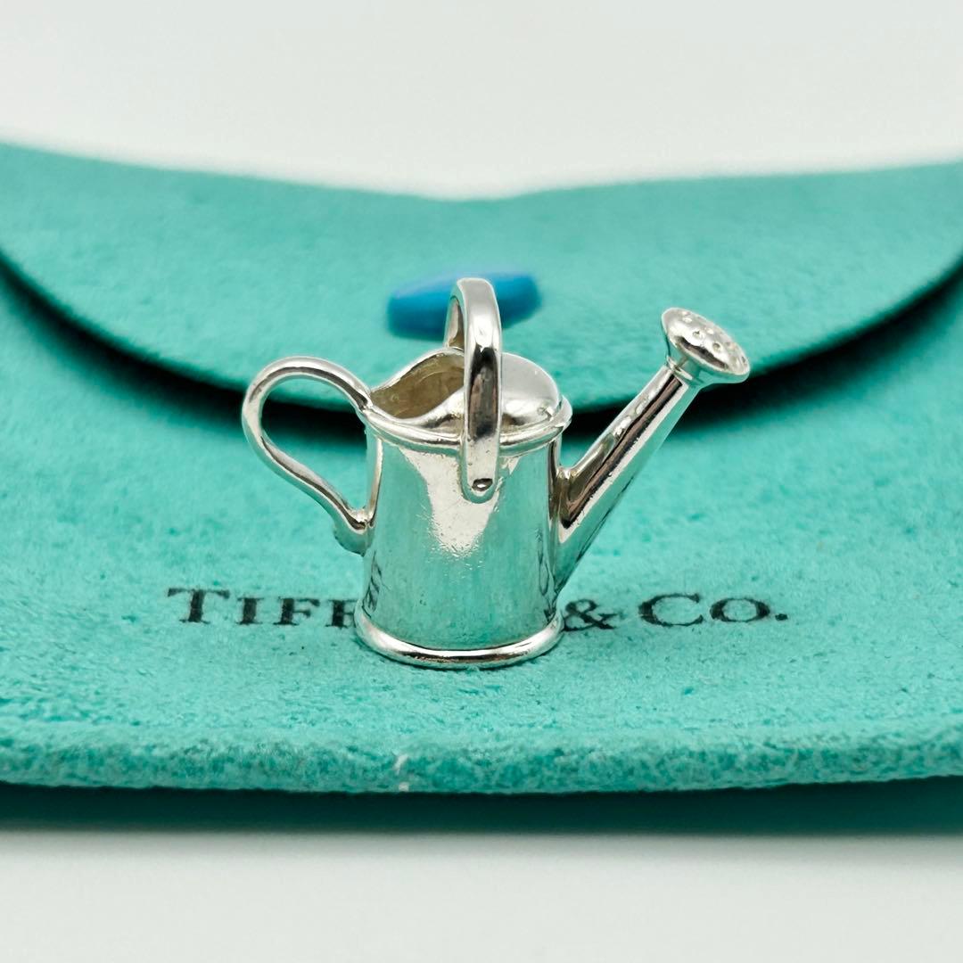 Tiffany Charms 925