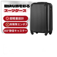 Carry Case S 2 3 Tsa 1