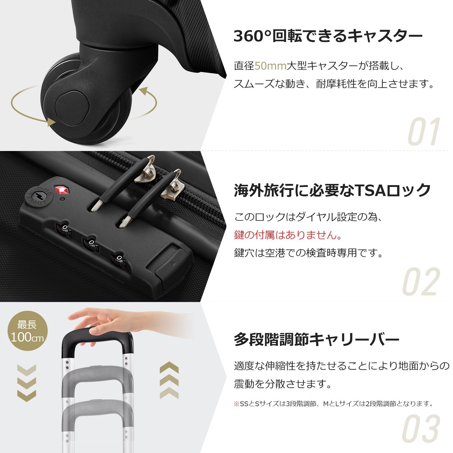 Carry Case S 2 3 Tsa 1