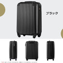 Carry Case S 2 3 Tsa 1