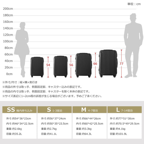 Carry Case S 2 3 Tsa 1