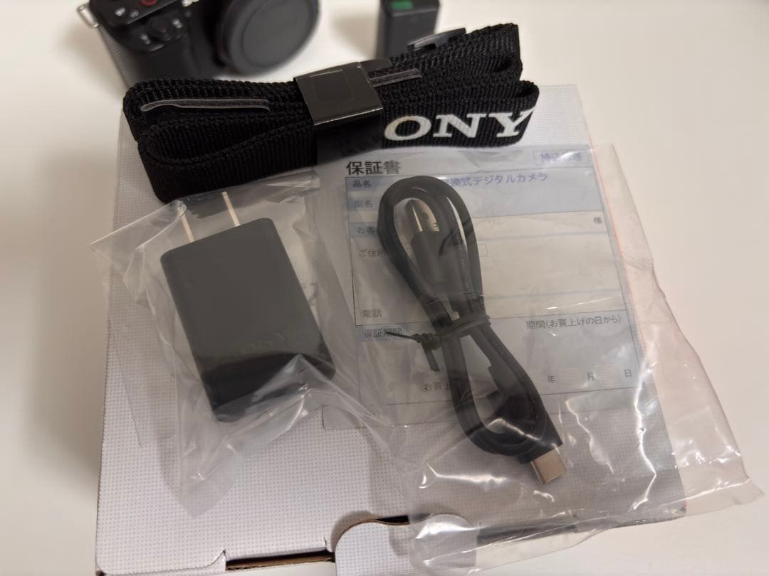 Mirrorless Interchangeable Lens Cameras Sony Vlogcam Zv-E10