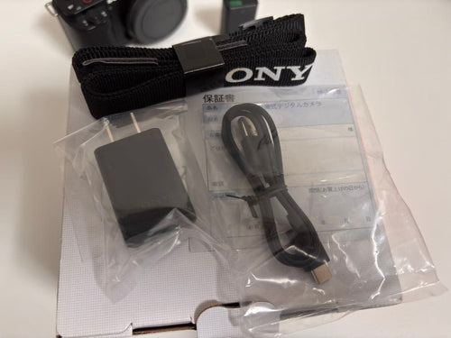 Mirrorless Interchangeable Lens Cameras Sony Vlogcam Zv-E10