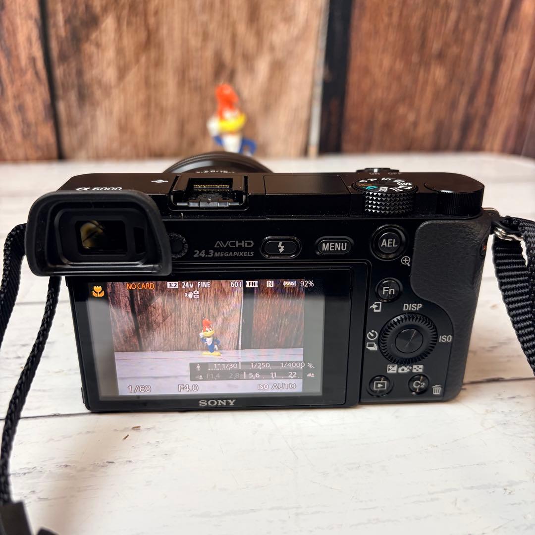 Digital Slrs Sony 6000
