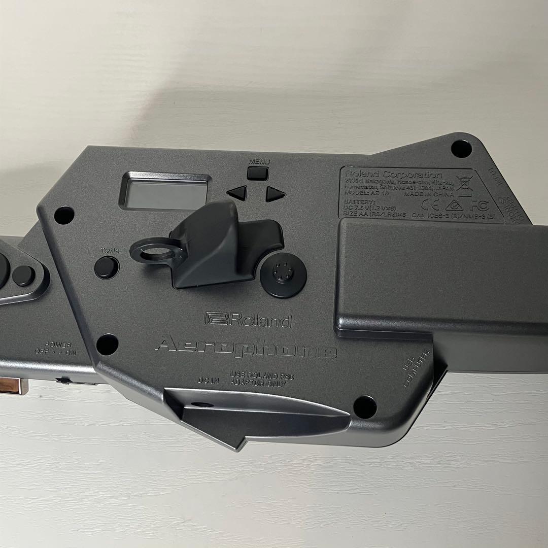 Roland Other Aerophone Ae-10