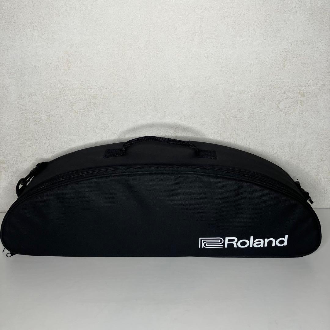 Roland Other Aerophone Ae-10