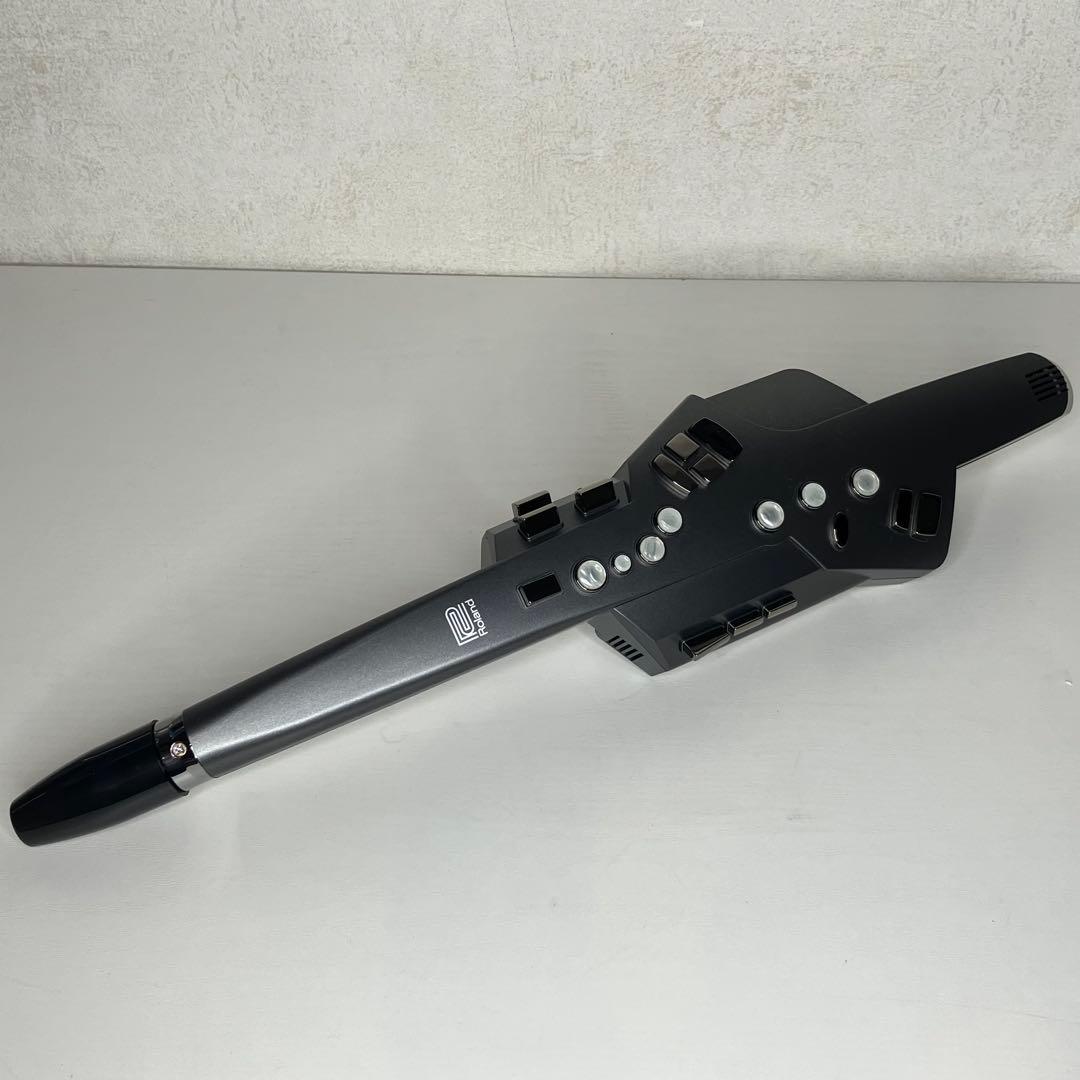 Roland Other Aerophone Ae-10
