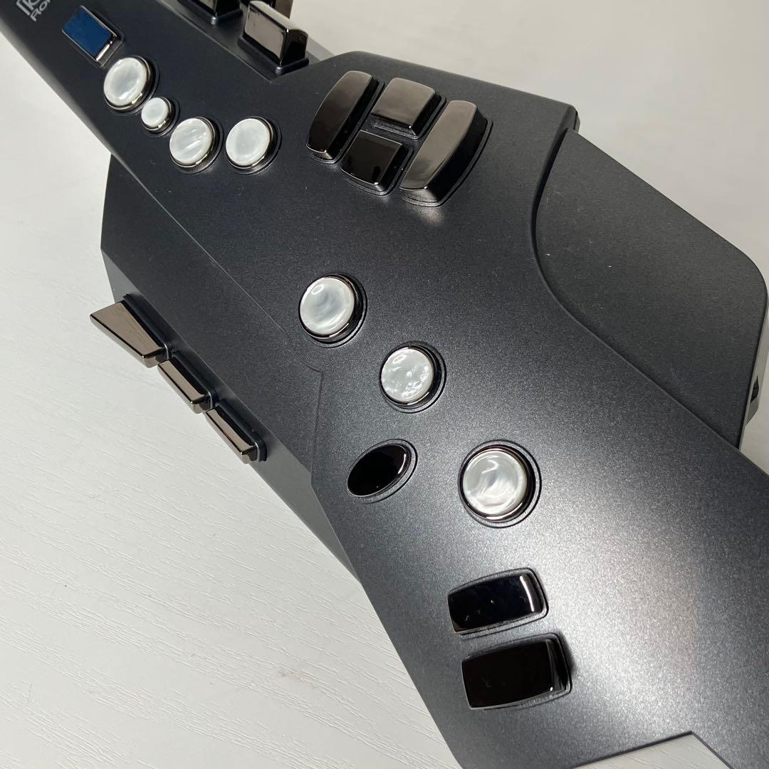 Roland Other Aerophone Ae-10