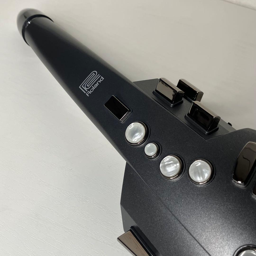Roland Other Aerophone Ae-10
