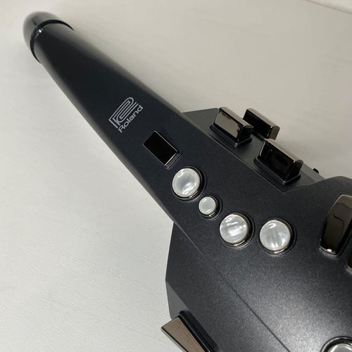 Roland Other Aerophone Ae-10