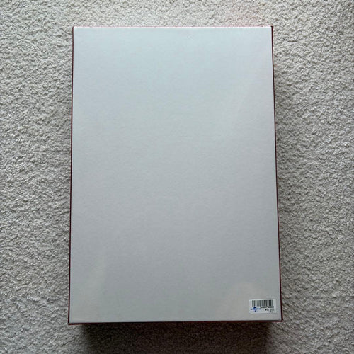 Usj Jigsaw Puzzles 1000