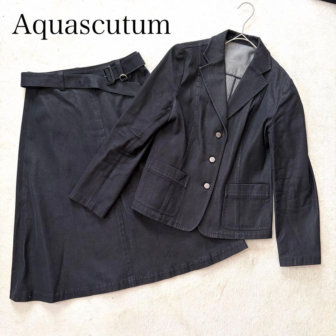 Aquascutum Skirt Outfits S)
