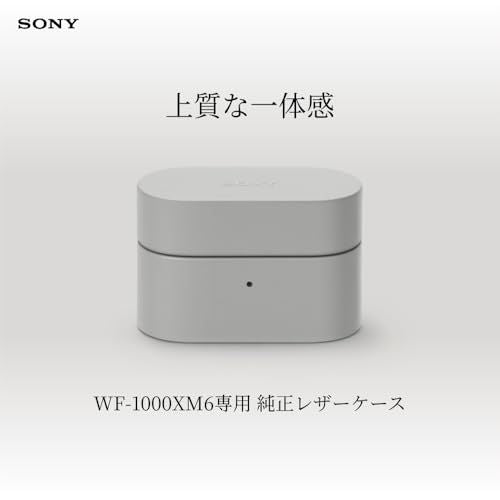 Others (Sony) Wf-1000Xm6 Hac1000Xm6Chc C1244Cab