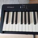 Keyboards Digital Pianos Roland Fp-10 88