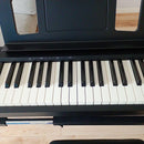 Keyboards Digital Pianos Roland Fp-10 88