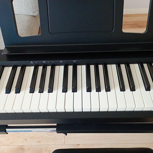 Keyboards Digital Pianos Roland Fp-10 88