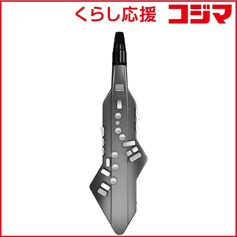 Roland Electronic Organ Ae-05