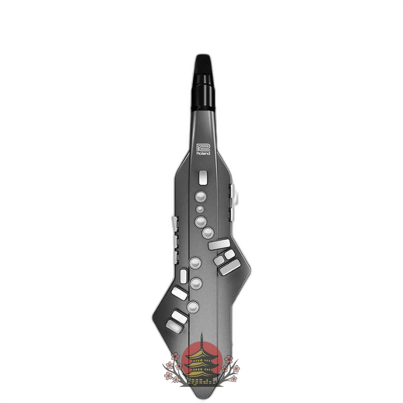 Roland Electronic Organ Ae-05