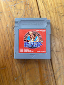 Gameboy Advance Body (Sp)