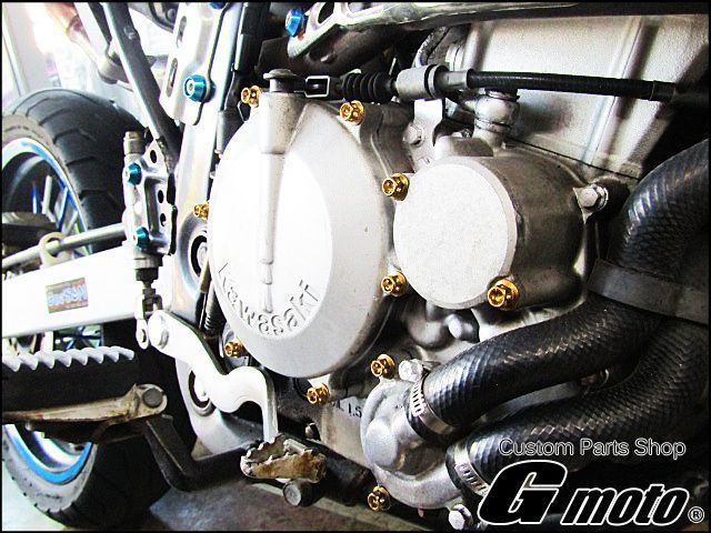 Engine Cooling Device D 250