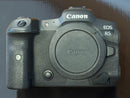 Canon Mirrorless Interchangeable Lens Cameras Eos R5
