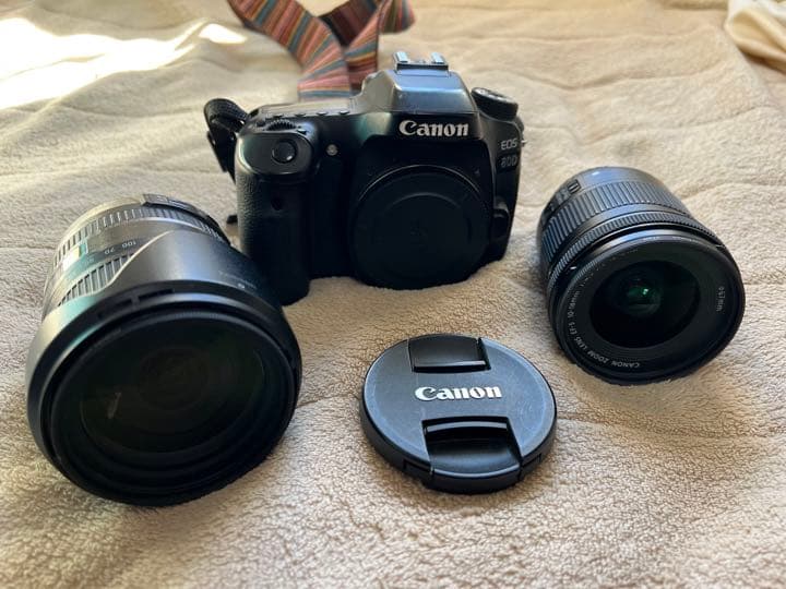 Canon Digital Slrs Eos 80D