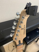 Electric Guitars Pacifica