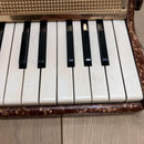 Yamaha Accordions 30