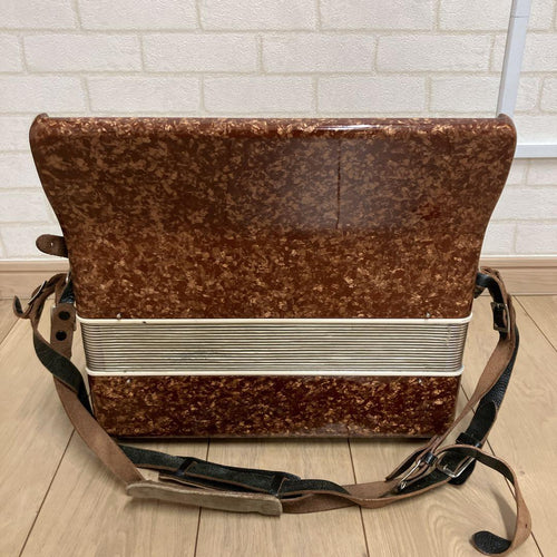 Yamaha Accordions 30