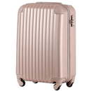 Carry Case S 2 3 Tsa 1