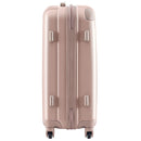 Carry Case S 2 3 Tsa 1