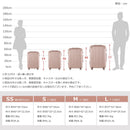 Carry Case S 2 3 Tsa 1