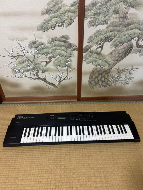 Roland Others Xp-10