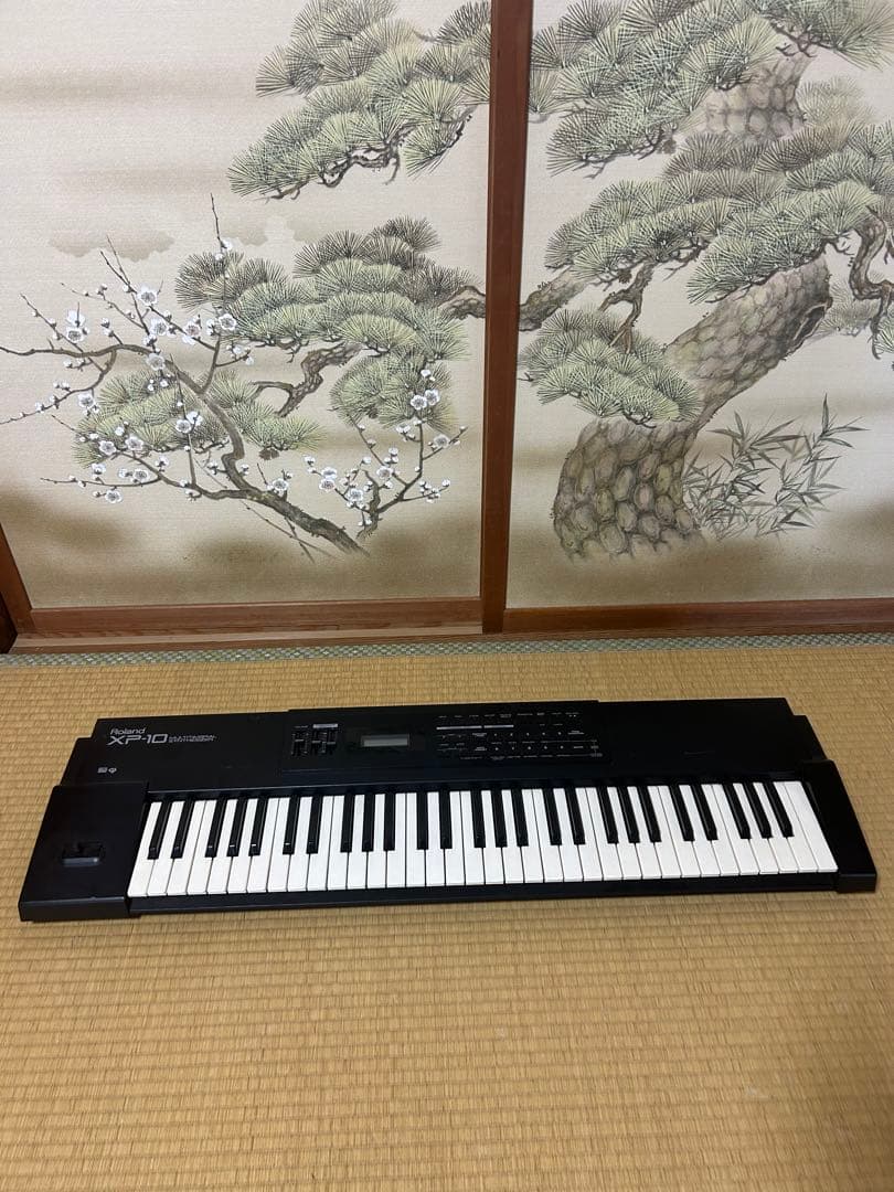 Roland Others Xp-10