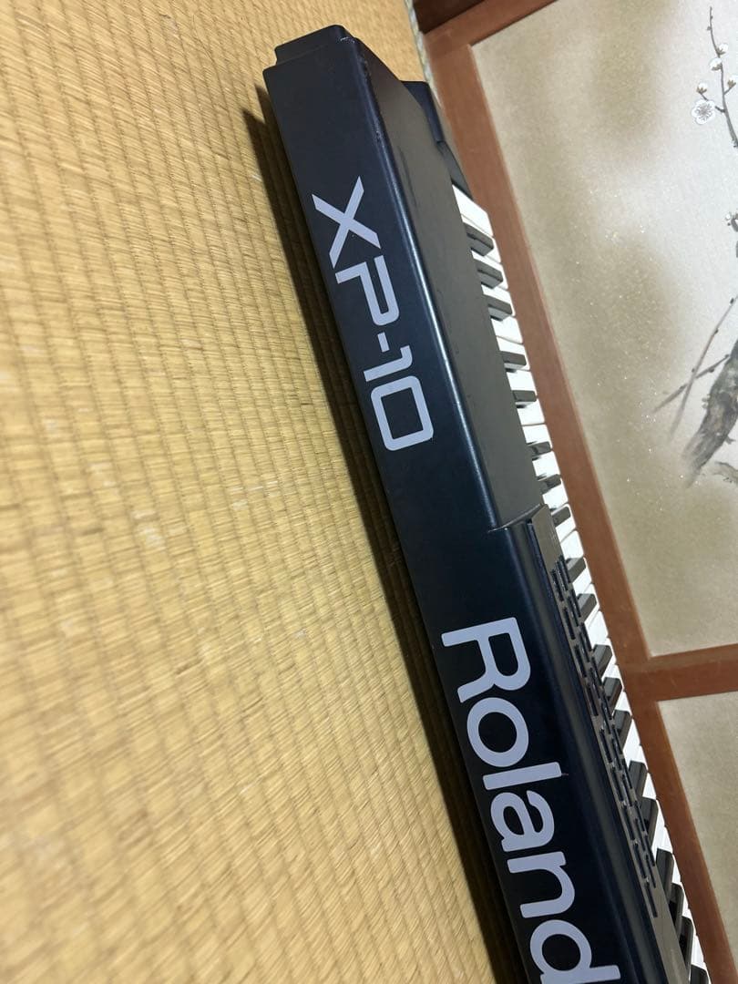 Roland Others Xp-10