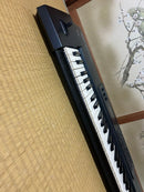 Roland Others Xp-10