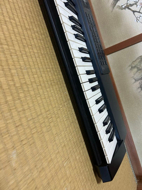 Roland Others Xp-10