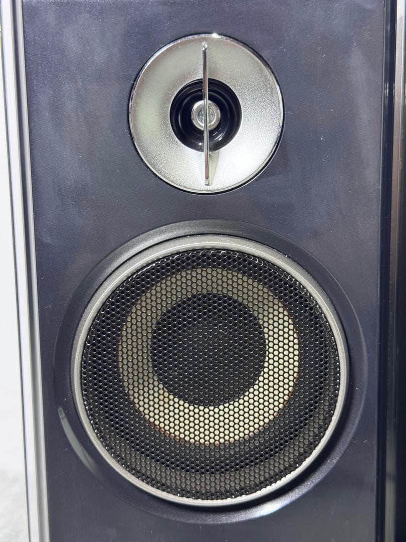 Sony Speakers Srs-Zp1000D