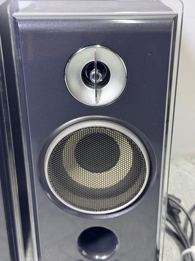 Sony Speakers Srs-Zp1000D
