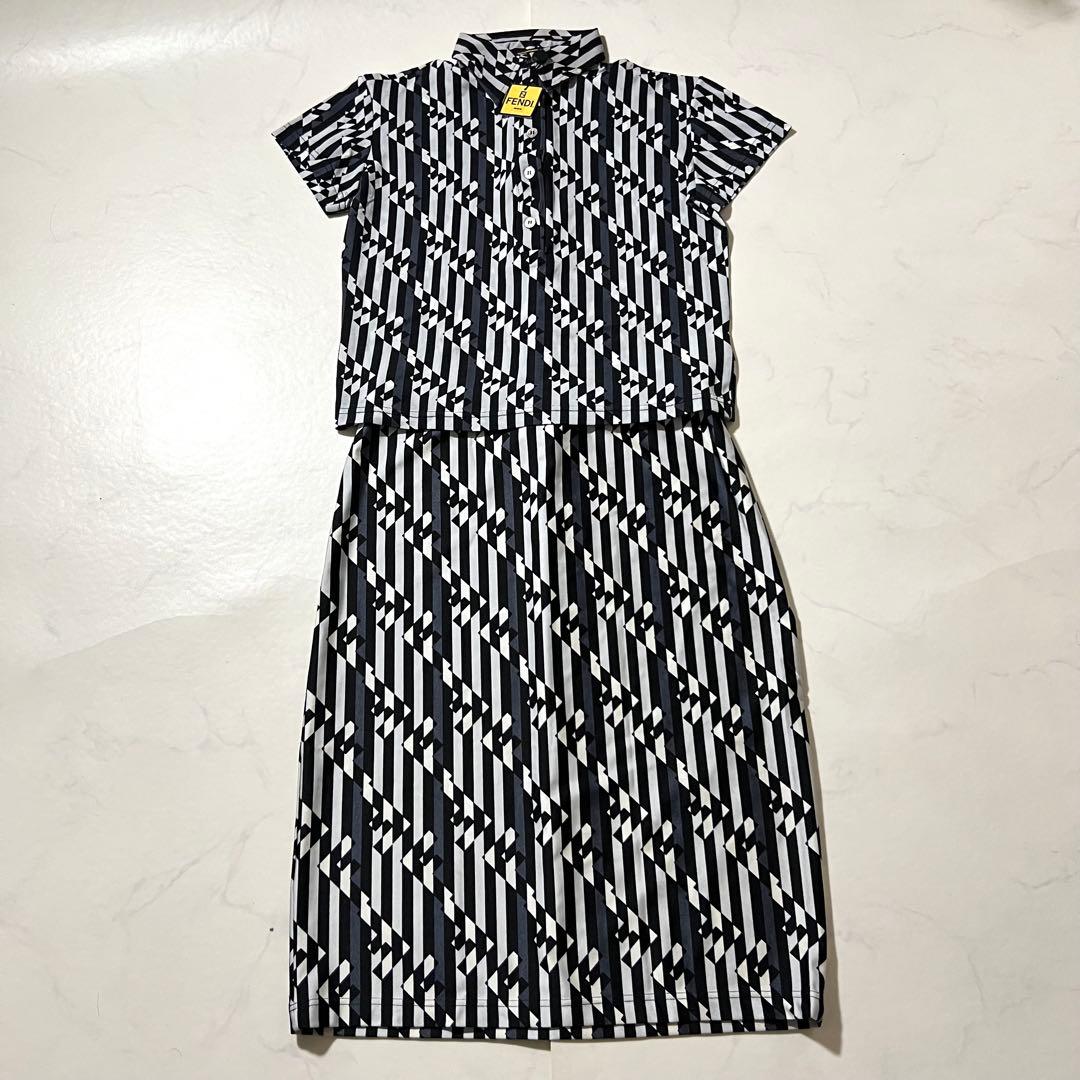 Fendi Skirt Setup 44