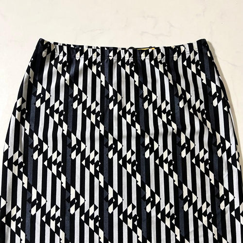 Fendi Skirt Setup 44