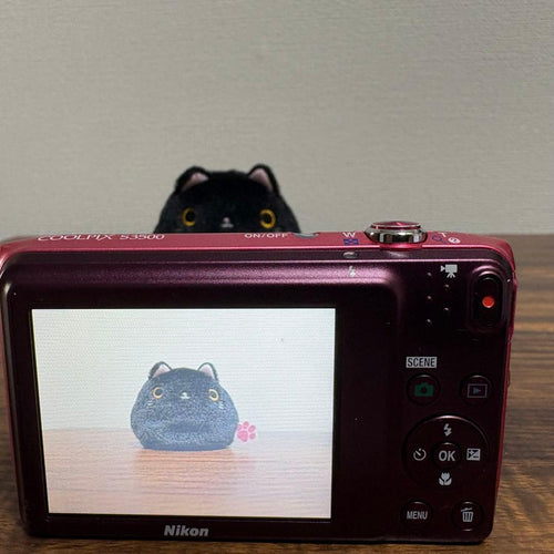 Nikon Compact Digital Camera Coolpix S3500 Ccd