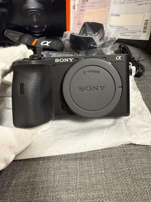 Sony Mirrorless Interchangeable Lens Cameras 6600 E18-135Mm F3.5-5.6Oss