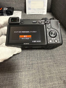 Sony Mirrorless Interchangeable Lens Cameras 6600 E18-135Mm F3.5-5.6Oss