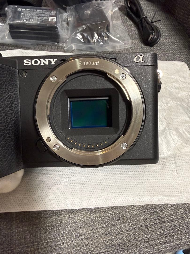 Sony Mirrorless Interchangeable Lens Cameras 6600 E18-135Mm F3.5-5.6Oss