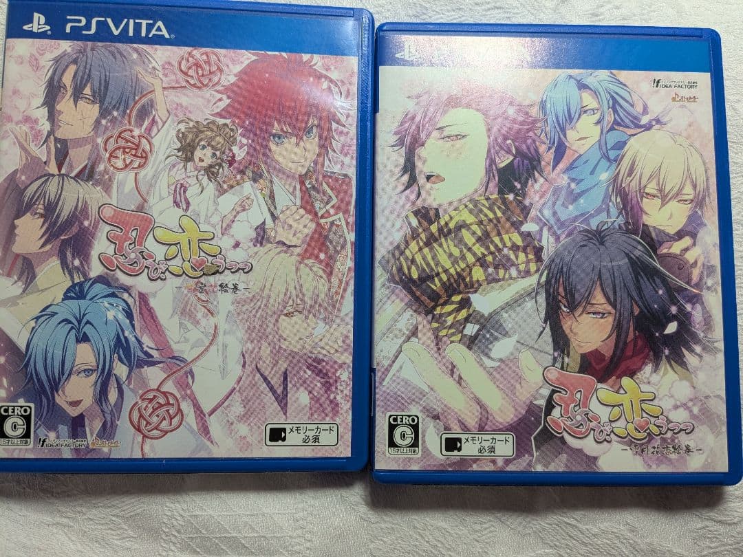 Software (Package Version) Ps Vita 2