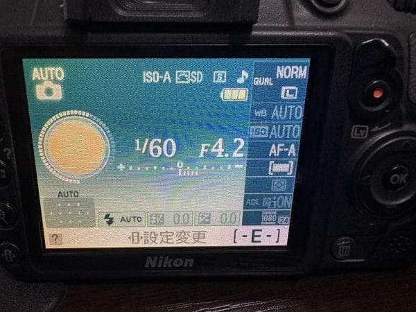 Nikon Digital Slr D3100 3622