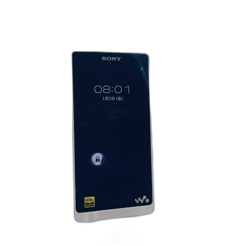 Sony Digital Audio Player Walkman Nw-Zx1 128Gb
